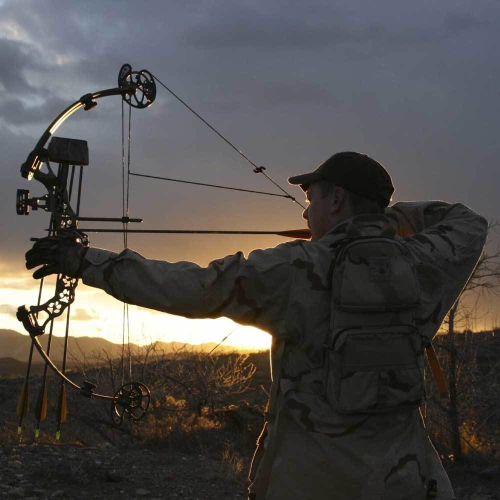 Compound Bow Tuning